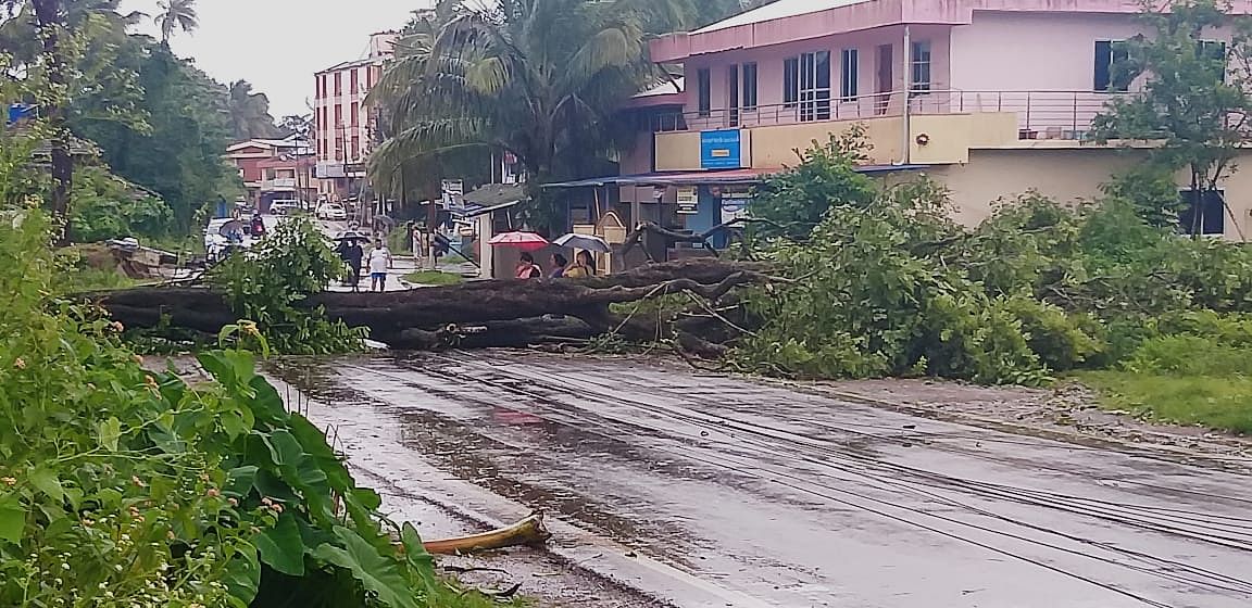 ಶಿರಸಿ-ಬನವಾಸಿ ರಸ್ತೆಯ‌ ಮೇಲೆ ಮರ ಮುರಿದು ಬಿದ್ದಿದೆ