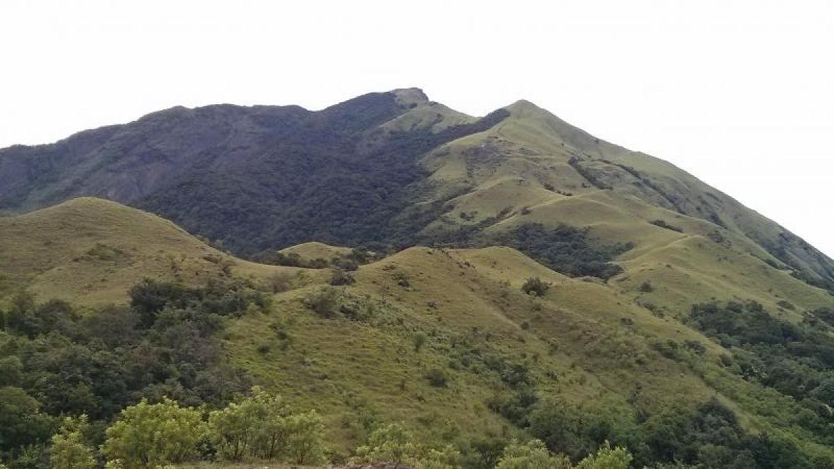 ಪಶ್ಚಿಮಘಟ್ಟ (ಸಂಗ್ರಹ ಚಿತ್ರ)