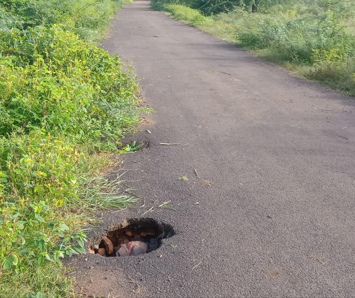 ಸೋಮನಕೊಪ್ಪ ಗ್ರಾಮದ ಮುಖ್ಯ ರಸ್ತೆಯಲ್ಲಿ ಗುಂಡಿ ಬಿದ್ದಿರುವುದು