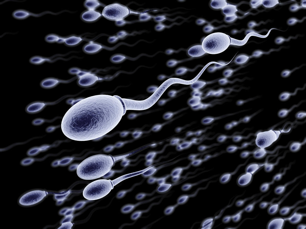 Swimming spermatozoa (with depth of field).Illustration of sperms swimming on a black background