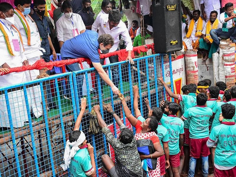 ತಮಿಳುನಾಡಿನ ಸಾಂಪ್ರದಾಯಿಕ 'ಜಲ್ಲಿಕಟ್ಟು' ಕ್ರೀಡೆಯಲ್ಲಿ ಭಾಗವಹಿಸಿದ ಕಾಂಗ್ರೆಸ್ ನಾಯಕ ರಾಹುಲ್ ಗಾಂಧಿ