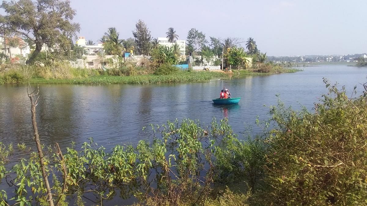 ಕಲುಷಿತ ನೀರಿನಲ್ಲಿ ಮೀನುಗಾರಿಕೆ ನಡೆಸುತ್ತಿರುವುದು