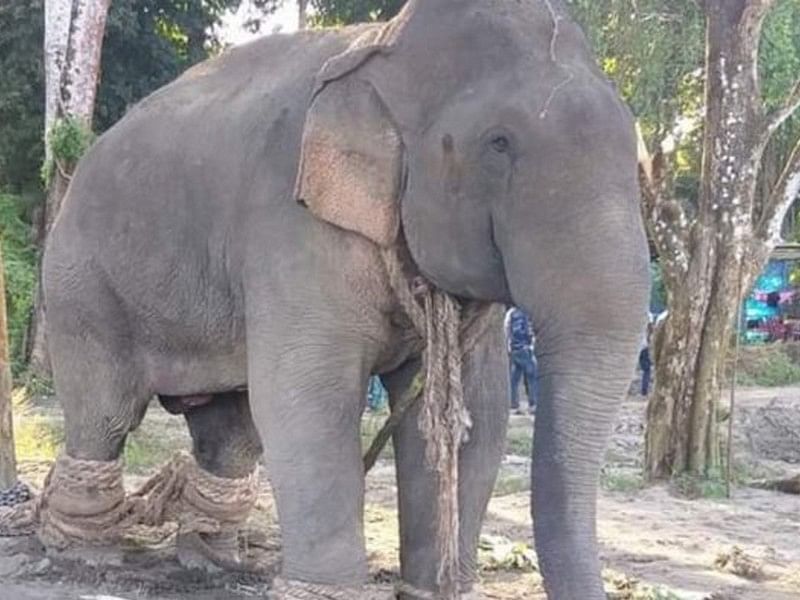 ಸಾಂದರ್ಭಿಕ ಚಿತ್ರ