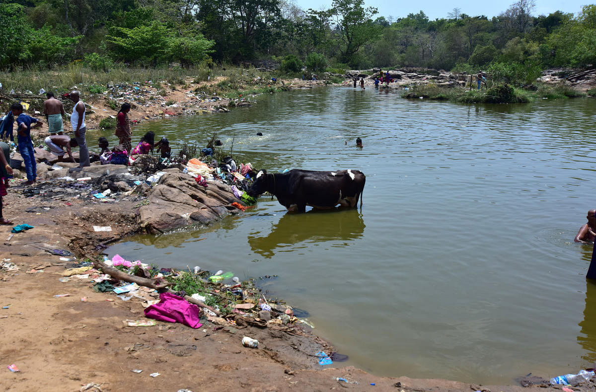 ನೇತ್ರಾವತಿ ಸ್ನಾನಘಟ್ಟ