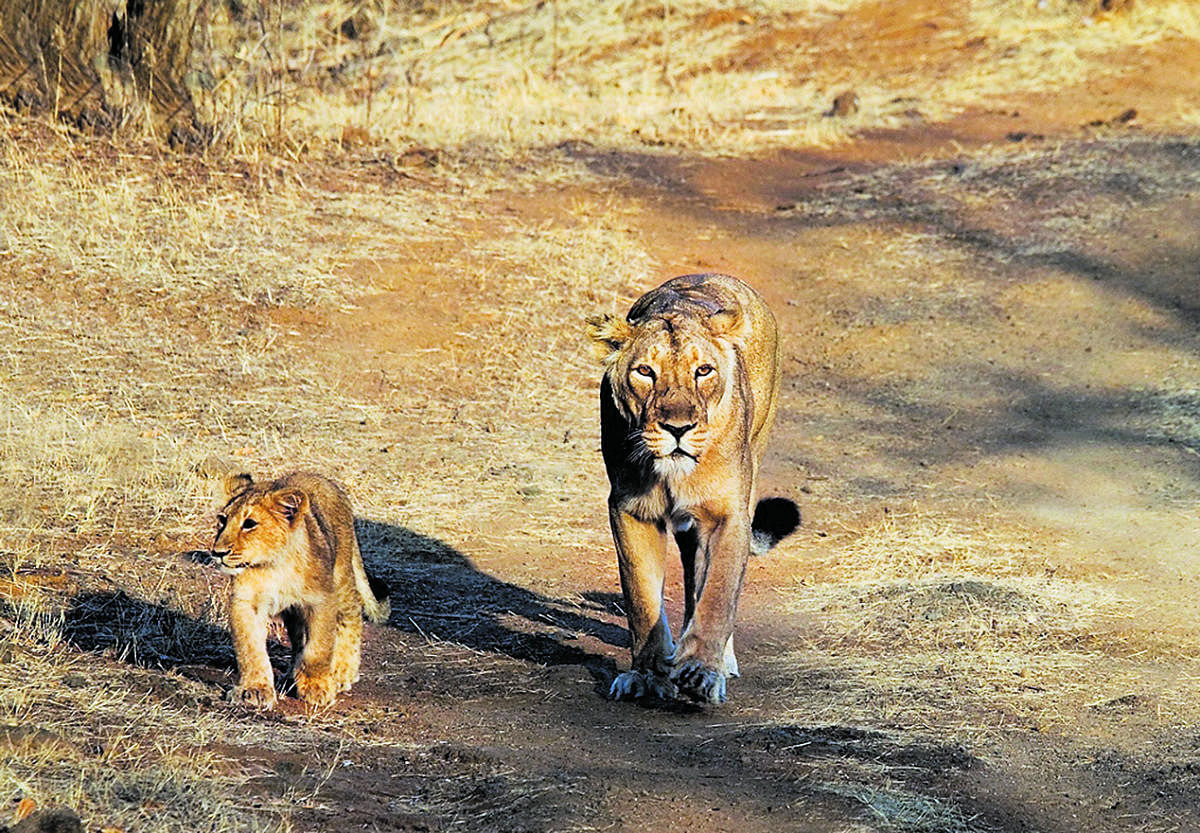 ಸಾಂದರ್ಭಿಕ ಚಿತ್ರ