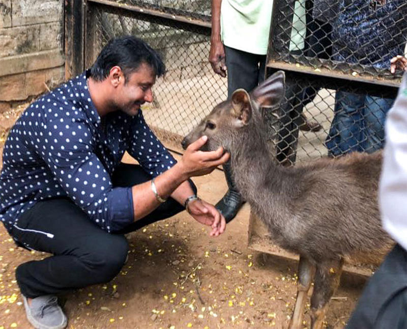 ಮೃಗಾಲಯದ ಪ್ರಾಣಿಯೊಂದಿಗೆ ನಟ ದರ್ಶನ್–ಸಾಂದರ್ಭಿಕ ಚಿತ್ರ