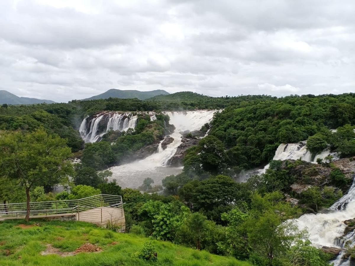 ಭರಚುಕ್ಕಿ ಜಲಪಾತದ ಸಂಗ್ರಹ ಚಿತ್ರ