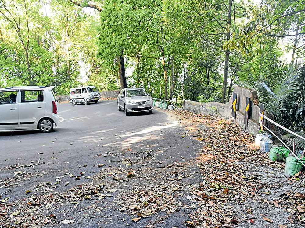 ಆಗುಂಬೆ ಘಾಟಿ ರಸ್ತೆಯ ಸಾಂದರ್ಭಿಕ ಚಿತ್ರ