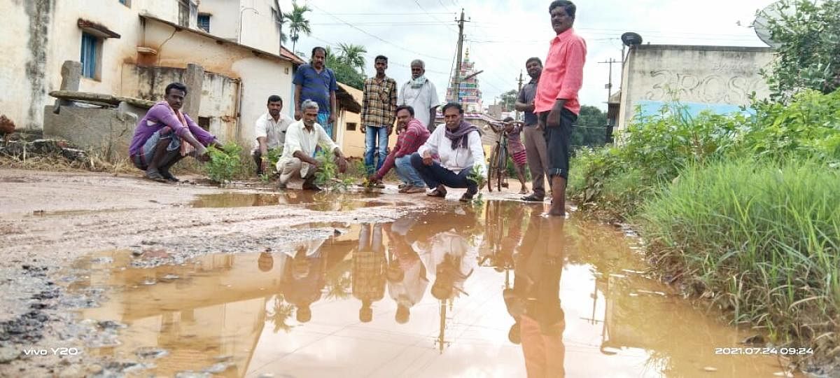 ರಸ್ತೆಯಲ್ಲಿ ಗಿಡ ನೆಟ್ಟು ಪ್ರತಿಭಟಿಸಿದ ಗುಬ್ಬಿ ತಾಲ್ಲೂಕು ಅಮ್ಮನಘಟ್ಟ ಗ್ರಾಮಸ್ಥರು