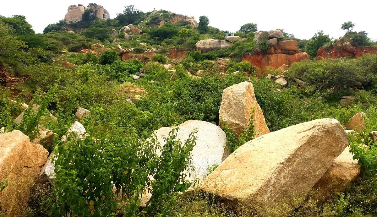 ದೇವನಹಳ್ಳಿ ತಾಲ್ಲೂಕಿನ ಕೊಯಿರಾ ಬೆಟ್ಟ