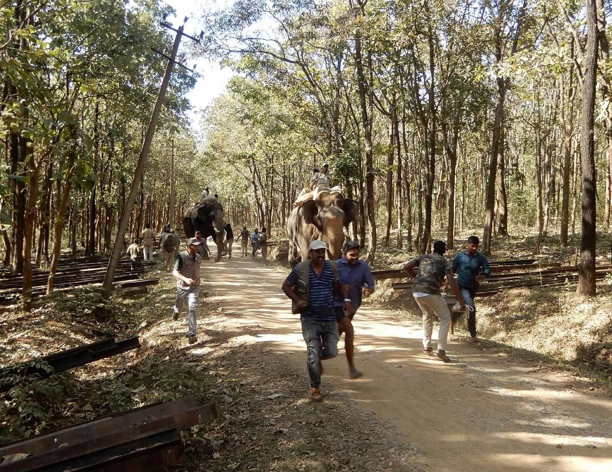 ಪ್ರಾತಿನಿಧಿಕ ಚಿತ್ರ