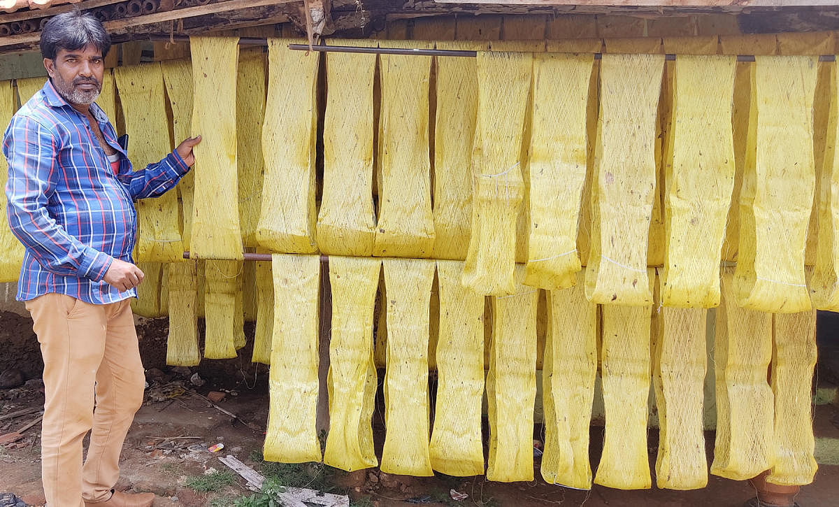 ಯಳಂದೂರು ತಾಲ್ಲೂಕಿನ ಮಾಂಬಳ್ಳಿ ಗ್ರಾಮದಲ್ಲಿ ಡೂಪಿಯನ್ ರೇಷ್ಮೆಯನ್ನು ಒಣಗಲು ಹಾಕಿರುವ ಉತ್ಪಾದಕ ಸೋಹೆಬ್ ಅಹ್ಮದ್