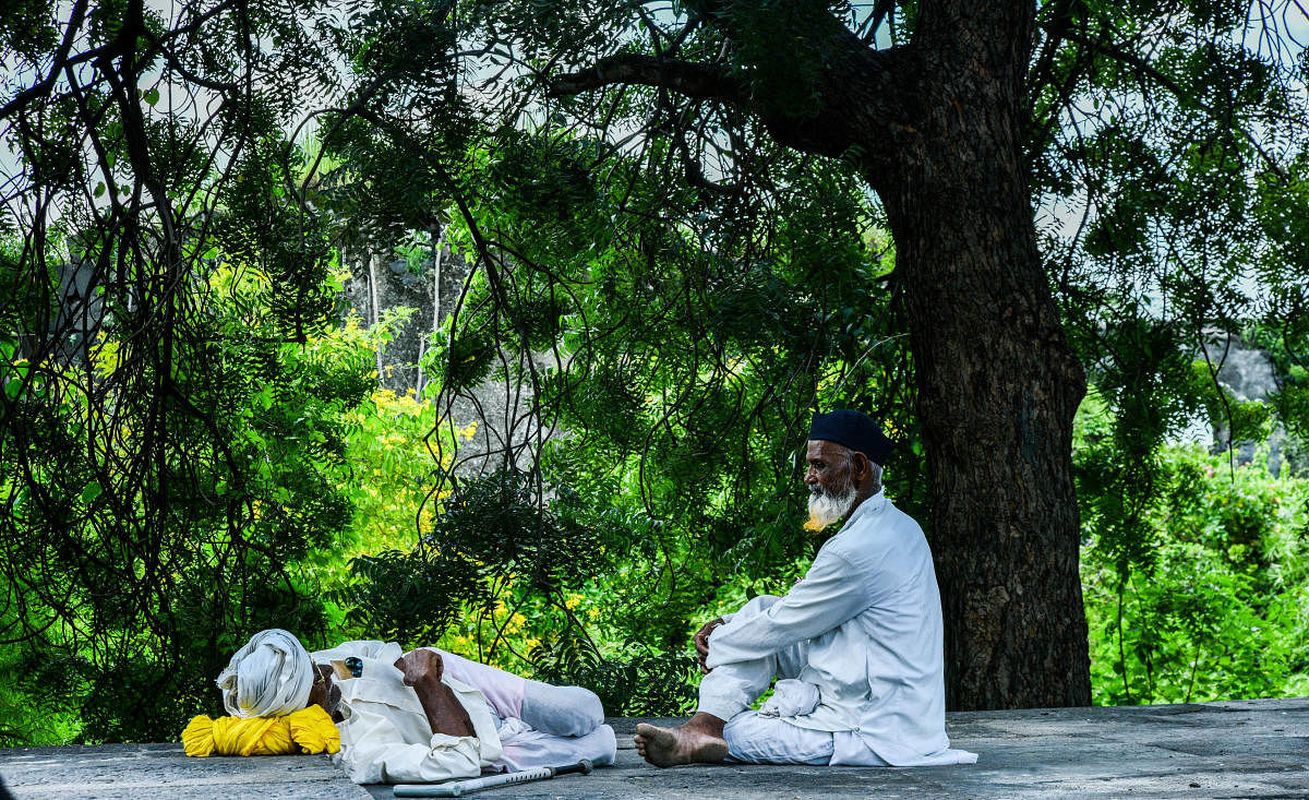 ಭಾವೈಕ್ಯತೆಯ ತೊಟ್ಟಿಲು ವಿಜಯಪುರ–ಕಲಬುರಗಿ ಸೀಮೆ. ಮತಭೇದ, ಘರ್ಷಣೆ, ಜಾತಿಯ ವಿಷದ ಗಾಳಿ ಸುಡದ ಹಾಗೆ ಇಲ್ಲಿನ ನದಿಗಳು ಈ ನೆಲವನ್ನು ತಣ್ಣಗಿಟ್ಟಿರುವ ಪ್ರತೀಕವಾಗಿ ಈ ಅಜ್ಜಂದಿರು ಗೋಚರಿಸುತ್ತಾರೆ  –ಚಿತ್ರ: ತಾಜುದ್ದೀನ್‌ ಆಜಾದ್‌