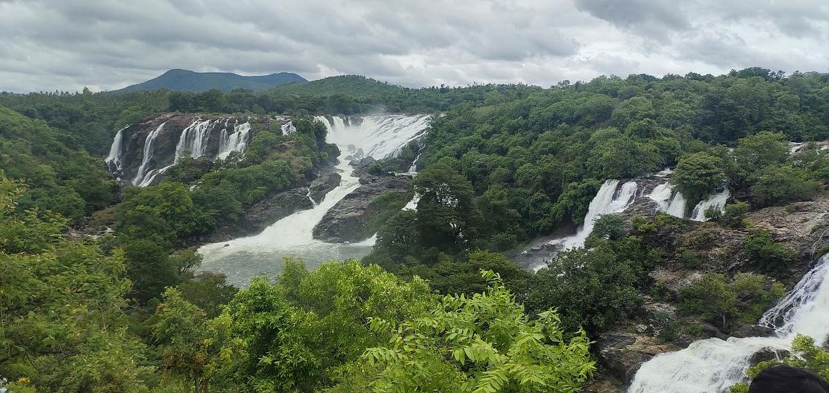 ಭರಚುಕ್ಕಿ ಜಲಪಾತದ ಮನಮೋಹಕ ನೋಟ