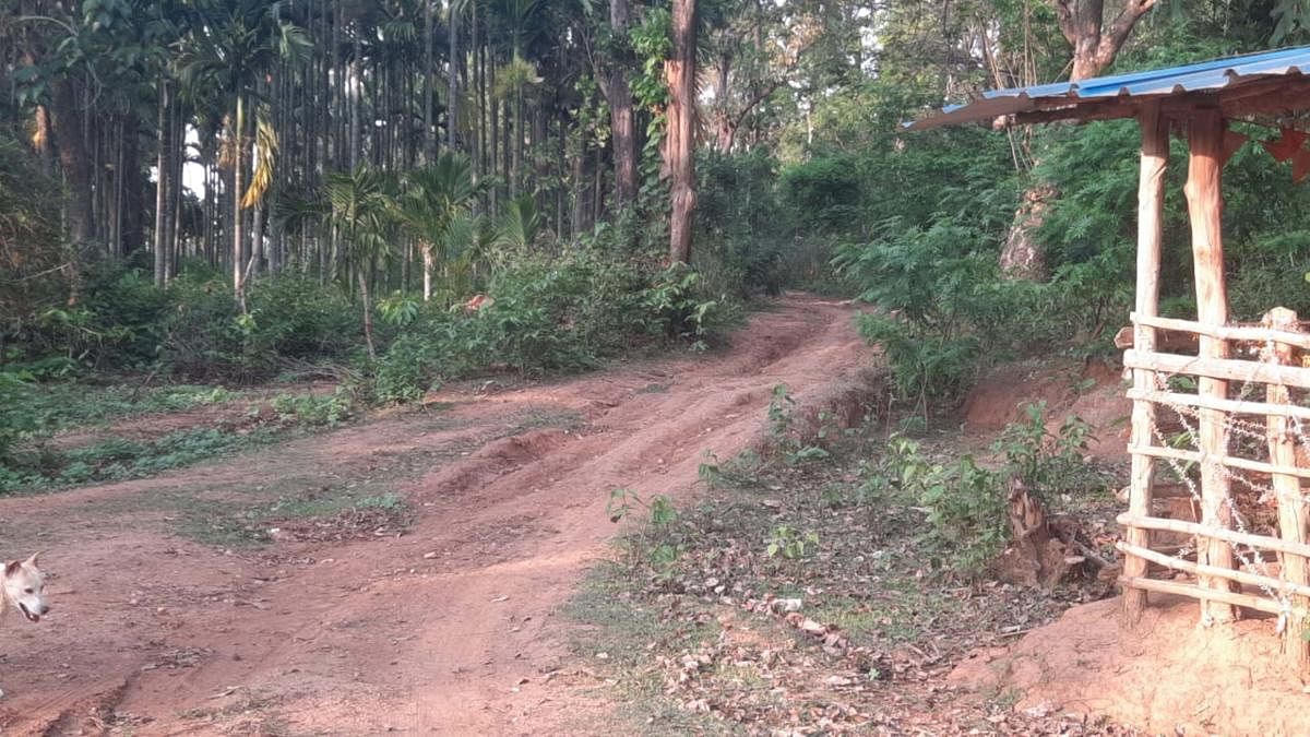 ಬಾಳೆಕೊಡ್ಲು ಗ್ರಾಮ ಸಂಪರ್ಕಿಸುವ ದುರ್ಗಮ ಹಾದಿ