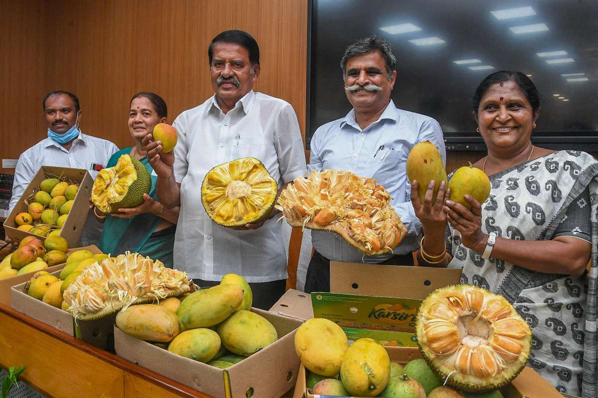 ಮಾವು–ಹಲಸು ಮೇಳ ಕುರಿತ ಪತ್ರಿಕಾಗೋಷ್ಠಿಯಲ್ಲಿ ರೈತ ಭಾಸ್ಕರ ರಾವ್‌, ಹಲಸು ಹಣ್ಣಿನ ತಜ್ಞೆ ಶ್ಯಾಮಲ, ನಿಗಮದ ಅಧ್ಯಕ್ಷ ಕೆ.ವಿ. ನಾಗರಾಜ್, ವ್ಯವಸ್ಥಾಪಕ ನಿರ್ದೇಶಕ ಸಿ.ಜಿ. ನಾಗರಾಜ್ ಹಾಗೂ ತೋಟಗಾರಿಕೆ ಇಲಾಖೆ ಹಿರಿಯ ಸಹಾಯಕ ನಿರ್ದೇಶಕಿ ಲಲಿತಾ ಅವರು ಹಣ್ಣುಗಳನ್ನು ಪ್ರದರ್ಶಿಸಿದರು. – ಪ್ರಜಾವಾಣಿ ಚಿತ್ರ