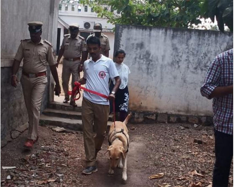 ಪ್ರಾತಿನಿಧಿಕ ಚಿತ್ರ