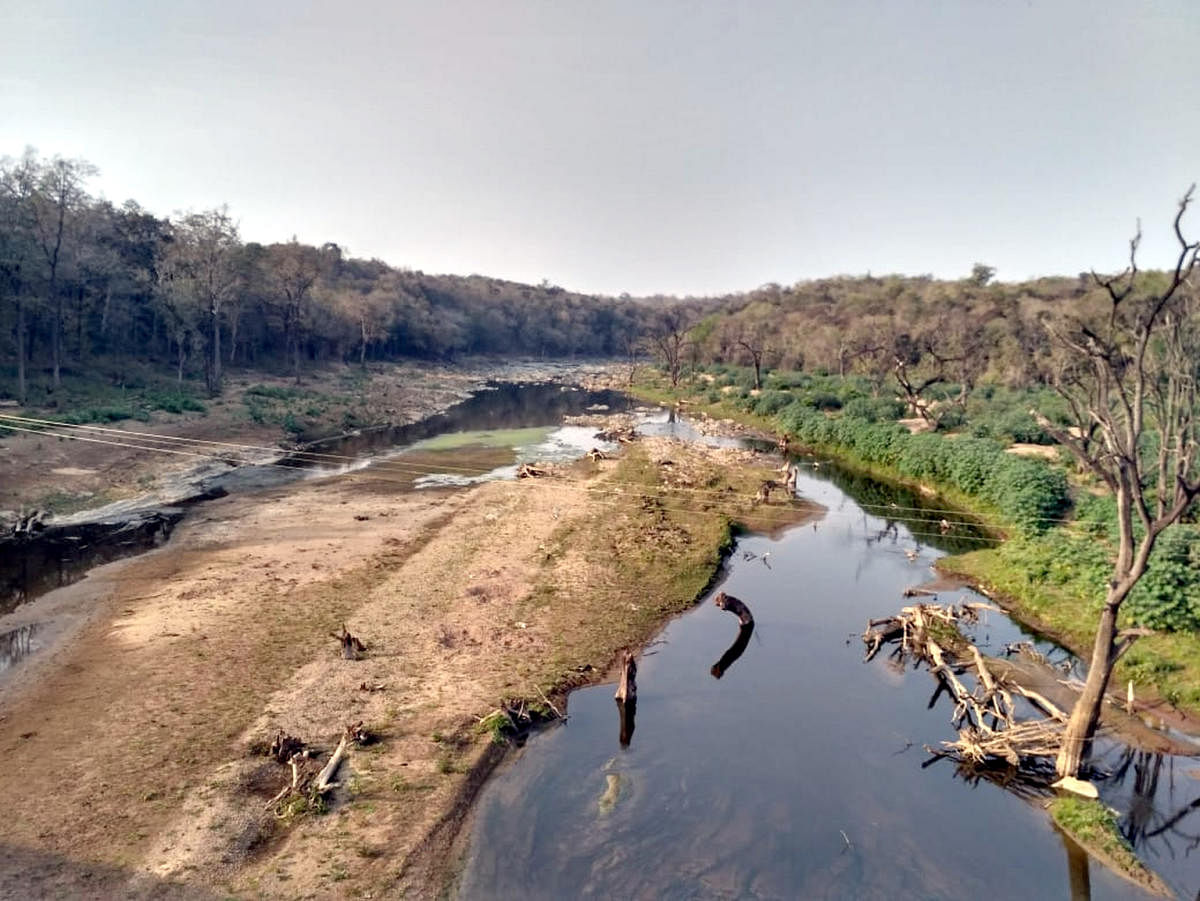 ಸಾಂದರ್ಭಿಕ ಚಿತ್ರ