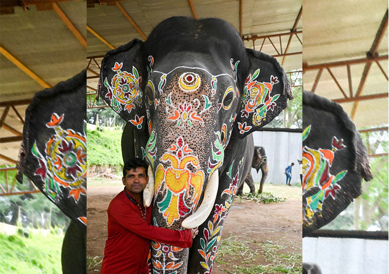 ಅಂಬಾರಿ ಆನೆ ‘ಅಭಿಮನ್ಯು’ ಜೊತೆ ಮಾವುತ ವಸಂತ –ಪ್ರಜಾವಾಣಿ ಚಿತ್ರ