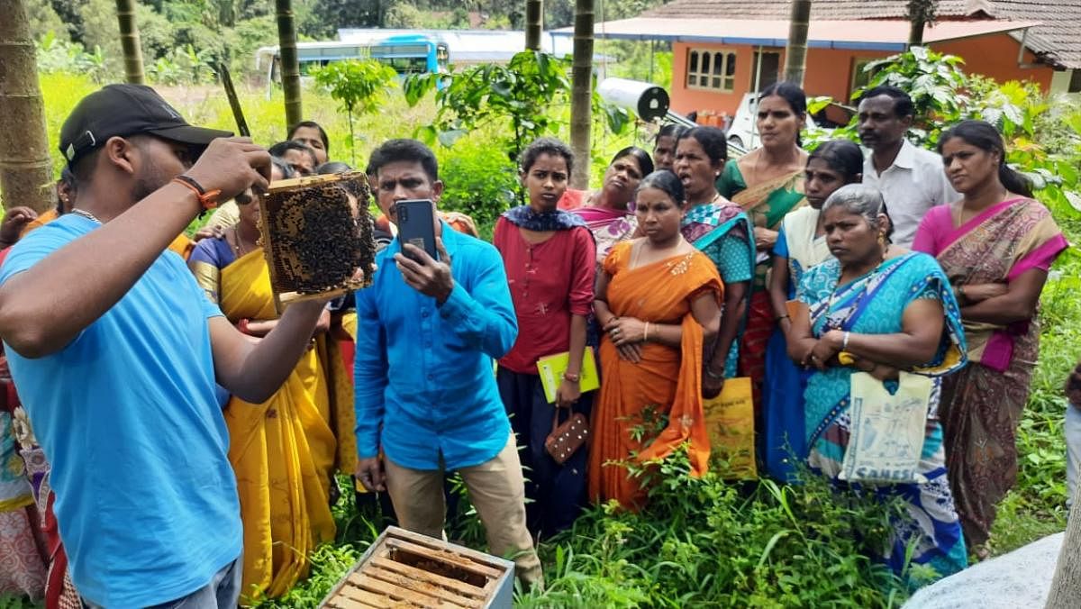 ನರಸಿಂಹರಾಜಪುರ ತಾಲ್ಲೂಕು ಮುಳುವಳ್ಳಿಯ ಲಕ್ಷ್ಮೀನಾರಾಯಣ ಅವರ ತೋಟದಲ್ಲಿ ಜೇನು ಕೃಷಿ ಸಾಕಾಣಿಕೆಯ ಬಗ್ಗೆ ತರಬೇತಿ ನೀಡಲಾಯಿತು.