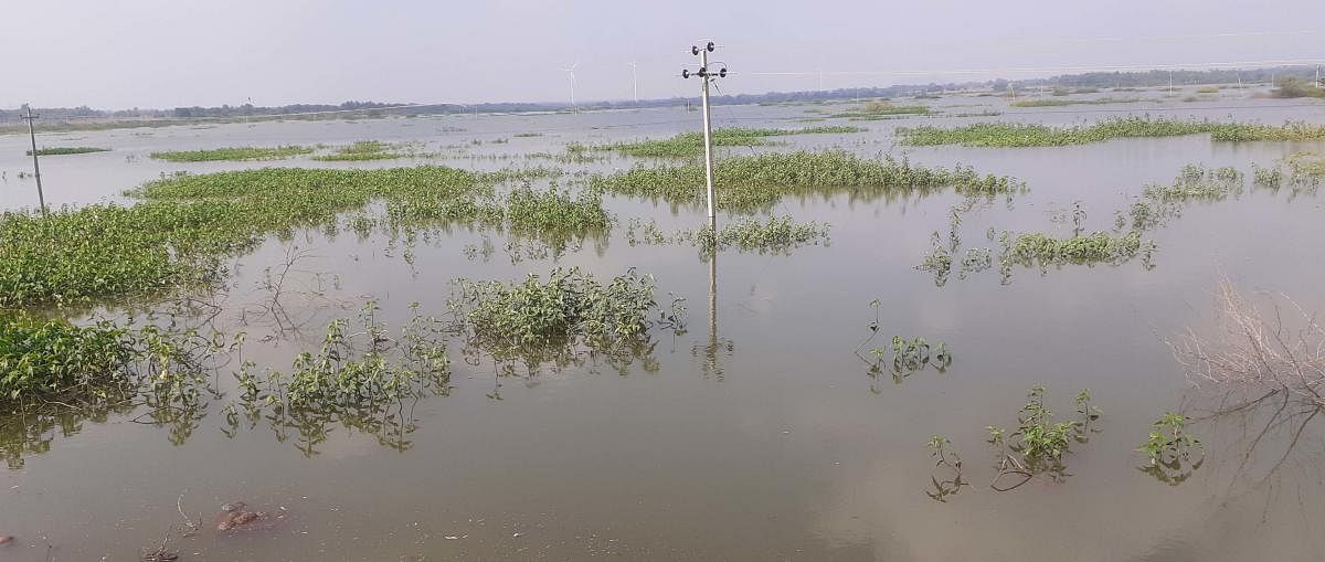 ಜಗಳೂರು ಕೆರೆ ದಶಕಗಳ ನಂತರ ಈಚೆಗೆ ಸತತವಾಗಿ ಸುರಿದ ಮಳೆಗೆ ತುಂಬಿದೆ.