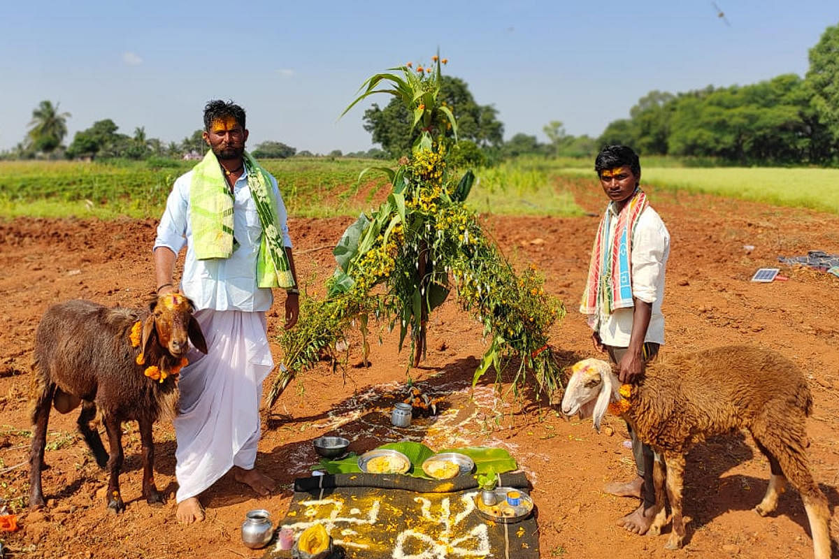 ಹನುಮಸಾಗರ ಸಮೀಪದ ಹೊಸಹಳ್ಳಿ ಗ್ರಾಮದಲ್ಲಿ ಕುರಿಗಾರರು ಮಂಗಳವಾರ ಬೆಳಿಗ್ಗೆ ಹಟ್ಟಿಲಕ್ಷ್ಮಿ ಹಾಗೂ ಕುರಿಗಳಿಗೆ ಪೂಜೆ ಮಾಡಿ ದೀಪಾವಳಿ ಹಬ್ಬ ಆಚರಿಸಿದರು