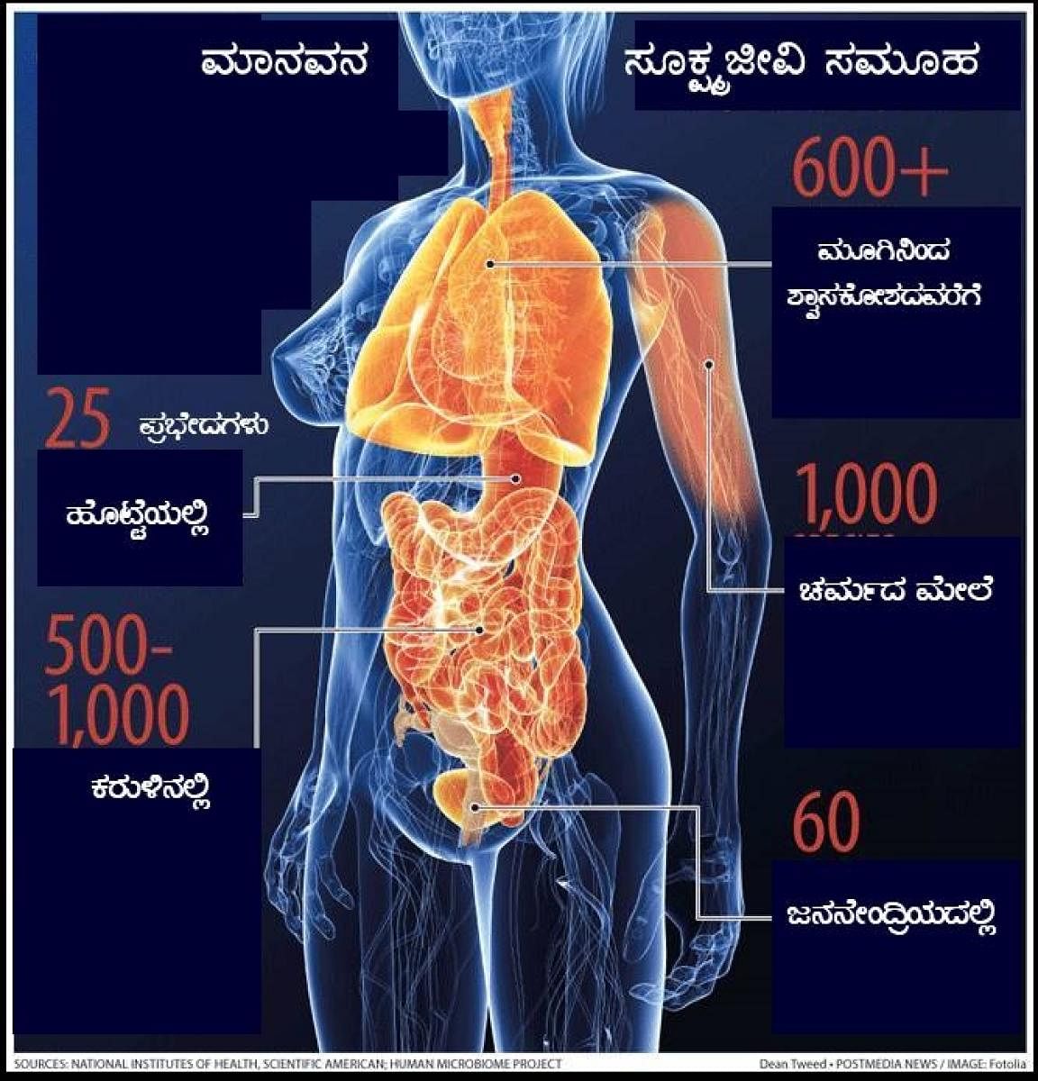 ಪ್ರಾತಿನಿಧಿಕ ಚಿತ್ರ 