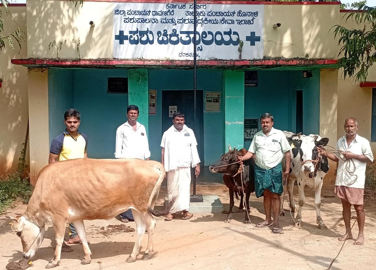 ಸಾಸ್ವೆಹಳ್ಳಿ ಸಮೀಪದ ಬೆನಕನಹಳ್ಳಿ ಪಶು ಚಿಕಿತ್ಸಾ ಕೇಂದ್ರಕ್ಕೆ ಕಾಯಂ ವೈದ್ಯರನ್ನು ನೇಮಿಸುವಂತೆ ಒತ್ತಾಯಿಸಿ ರೈತರು ಜಾನುವಾರುಗಳೊಂದಿಗೆ ಪ್ರತಿಭಟಿಸಿದರು.