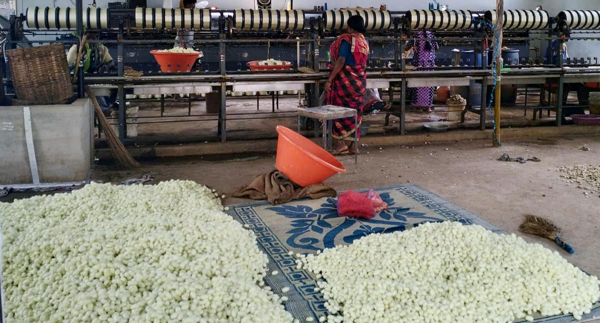 ಯಳಂದೂರು ತಾಲ್ಲೂಕಿನ ಹೊನ್ನೂರು ಗ್ರಾಮದ ರೇಷ್ಮೆ ಬಿಚ್ಚಾಣಿಕೆ ಕೇಂದ್ರವೊಂದರಲ್ಲಿ ಕಾರ್ಮಿಕರ ಸಂಖ್ಯೆ ಕಡಿಮೆಯಾಗಿದೆ