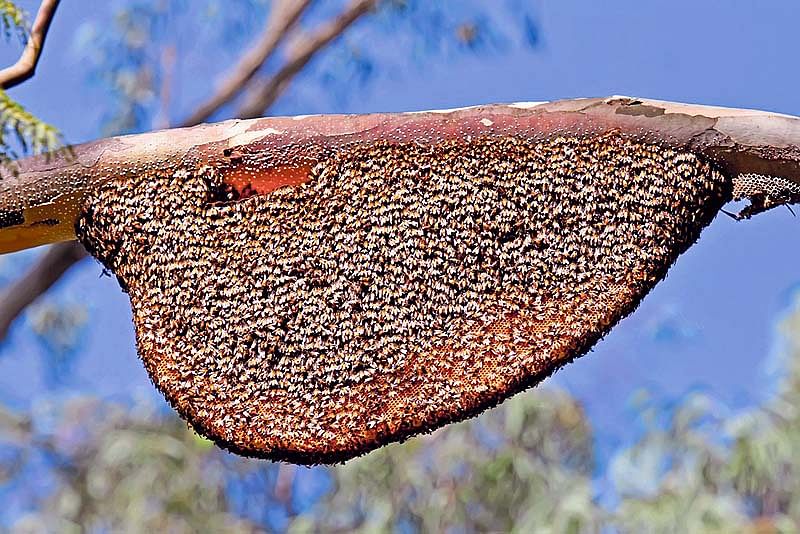 ಪ್ರಾತಿನಿಧಿಕ ಚಿತ್ರ