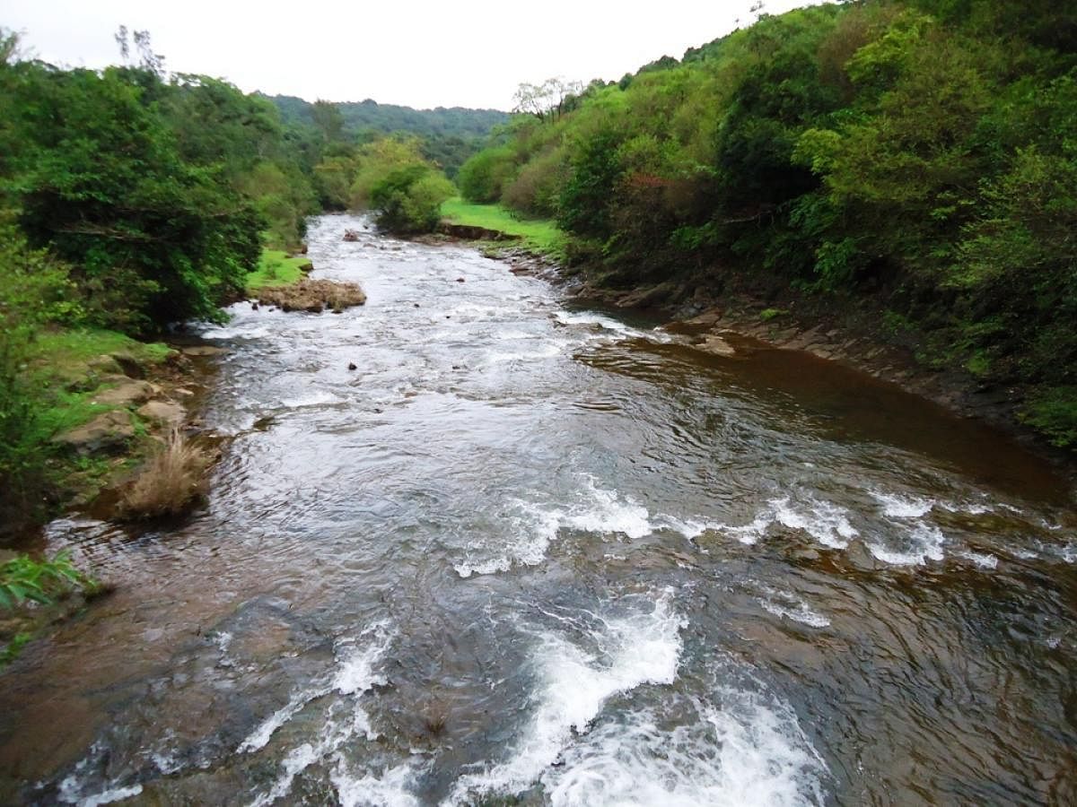 ಮಹಾದಾಯಿ ನದಿ