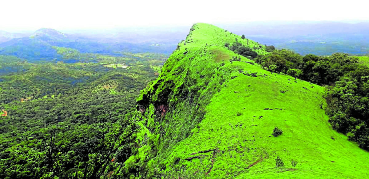 ಶರಾವತಿ ಎಡದಂಡೆಯ ಎಸ್‌.ಎಸ್. ಭೋಗ್ ಗ್ರಾಮ ಪಂಚಾಯಿತಿಯಲ್ಲಿನ ಅಂಬಾರಗುಡ್ಡ ಜೀವ ವೈವಿಧ್ಯ ಪ್ರದೇಶ