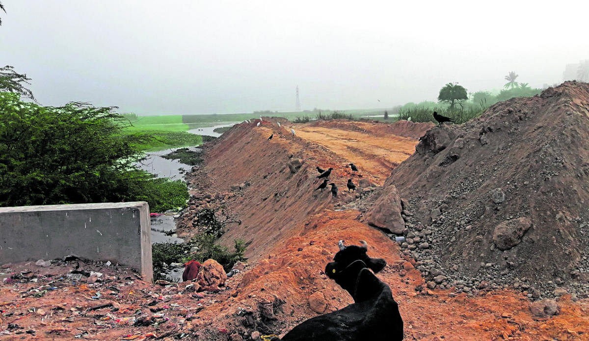 ಎಲೆ ಮಲ್ಲಪ್ಪ ಶೆಟ್ಟಿ ಕೆರೆ