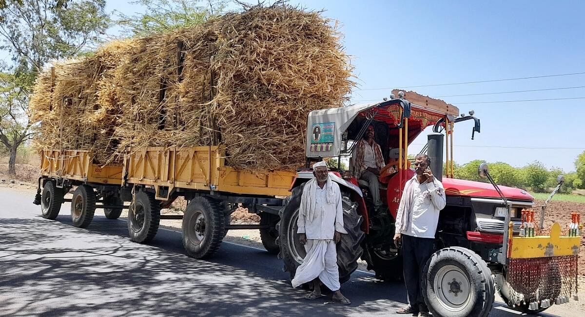 ದೇವರ ಹಿಪ್ಪರಗಿ ತಾಲ್ಲೂಕಿನ ರೈತರು ತಾವು ಖರೀದಿಸಿದ ಒಣಮೇವನ್ನು ಟ್ರ್ಯಾಕ್ಟರ್ ಮೂಲಕ ತಮ್ಮ ಗ್ರಾಮಗಳಿಗೆ ಸಾಗಿಸುತ್ತಿರುವುದು.