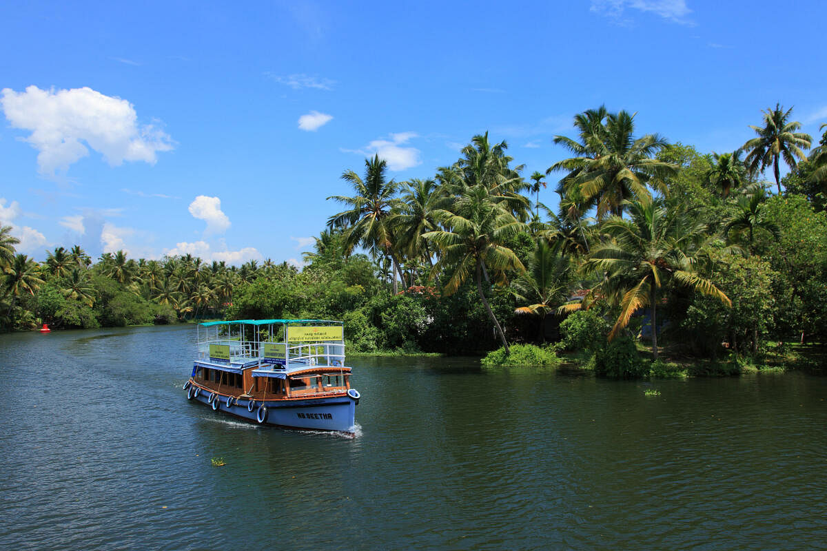 Fishing boats are docked in the Ashtamudi lake