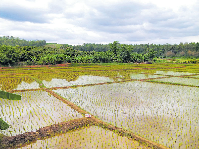 ಚಿತ್ರ: ಜಿ. ಕೃಷ್ಣಪ್ರಸಾದ್