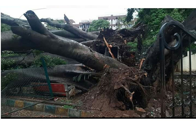 ಬೆಂಗಳೂರಿನಲ್ಲಿ ಮಳೆ ಅನಾಹುತ